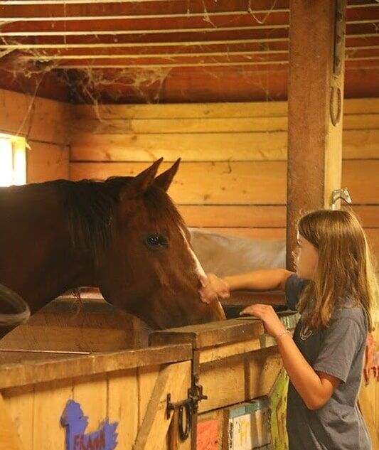 Camper brushing a horse inside the Long Lake Camp Adventures stable