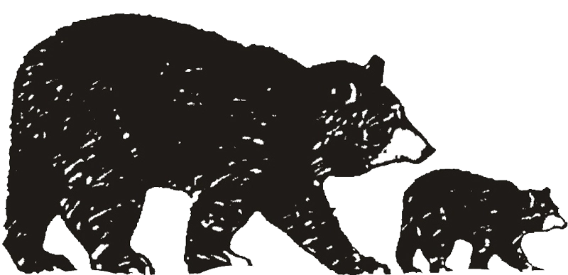 logo bears