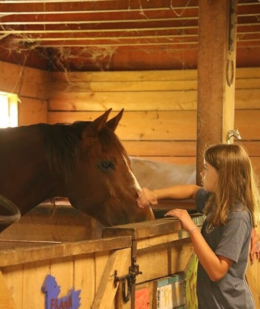 Camper brushing a horse inside the Long Lake Camp Adventures stable