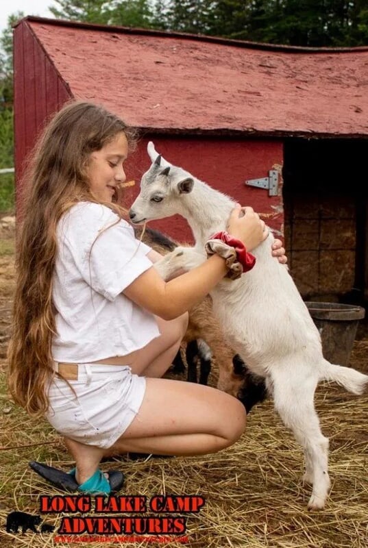 Camper interacting with a small goat at Long Lake Camp Adventures farm area